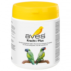 Aves Plus